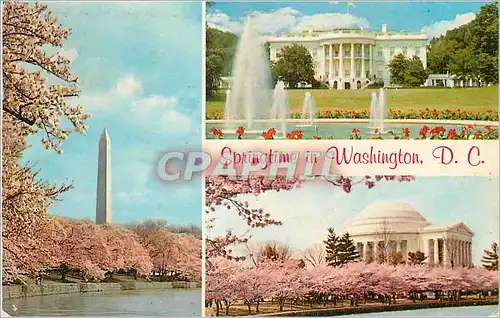 Moderne Karte Springtime in Washington DC