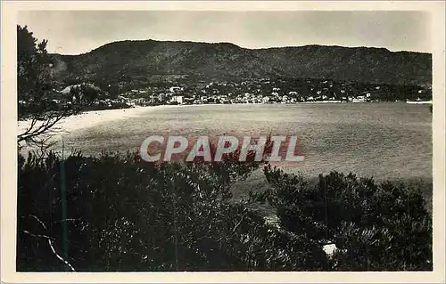 Cartes postales moderne Le Lavandou Vue Generale