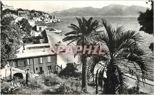 Cartes postales moderne Marseille Nouvelle Promenade de la Corniche Le Prophete