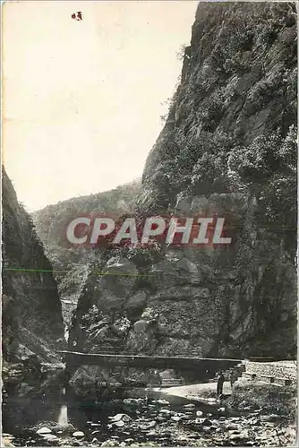 Cartes postales moderne Amelie les Bains (P O) Les Gorges du Mondony