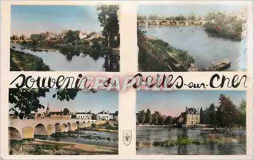 Cartes postales moderne Souvenir de Selles sur Cher (Loir et Cher)