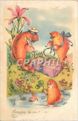 Cartes postales Acceptez Poissons