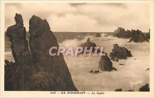 Cartes postales Ile D'Ouessant Le Lapin