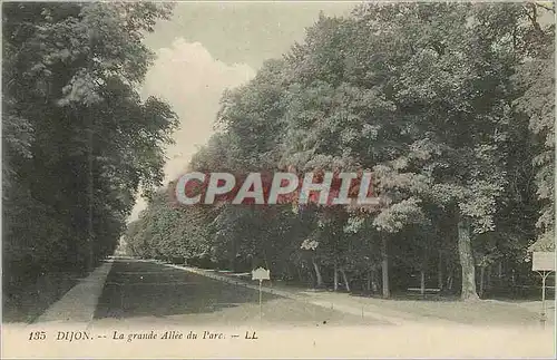 Cartes postales Dijon La Grande Allee du Parc