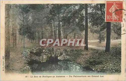 Cartes postales Le Bois de Boulogne en Automne Du Palmarium au Grand Lac