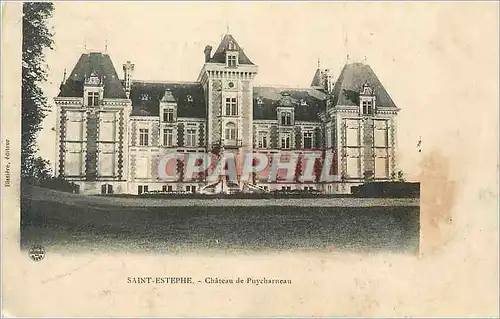 Ansichtskarte AK Saint Estephe Chateau de Puycharneau