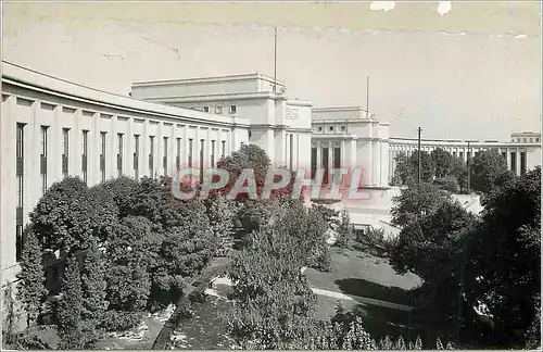 Cartes postales moderne Paris Musee de l'homme