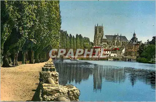 Cartes postales moderne Meaux Promenade des Trinitaires La Marne La Cathedrale et l'Hotel de Ville