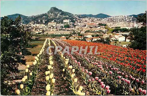 Moderne Karte Hyeres les Palmiers La Cote d'Azur French Riviera Vue Generale