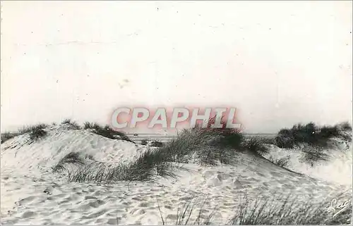 Cartes postales moderne Fort Mahon Plage (Somme) La Cote d'Opale Les Dunes et la Mer