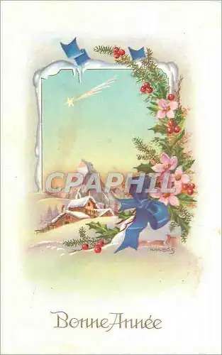 Cartes postales Bonne Annee
