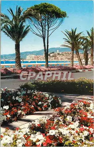 Cartes postales moderne Cannes La Cote d'Azur La Croisette