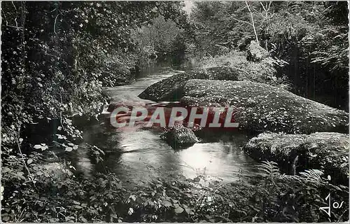 Cartes postales moderne Huelgoat (Finistere) La Riviere d'Argent dans la Lumiere