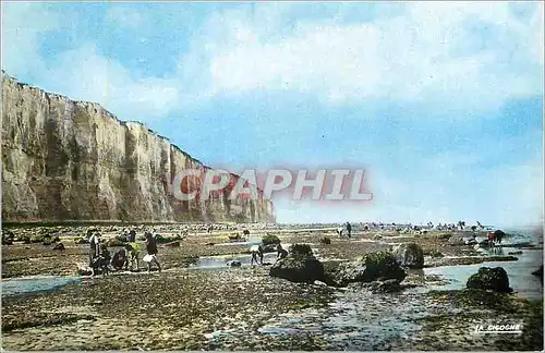 Cartes postales Le Treport (Seine Maritime) La Plage a Maree Basse