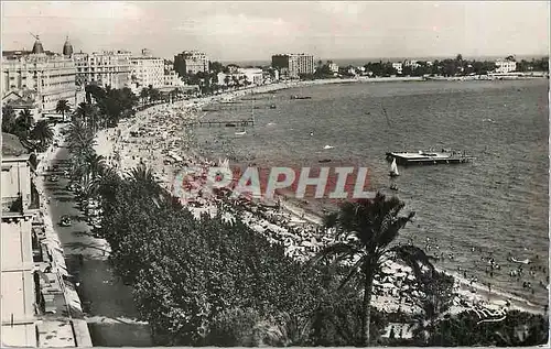 Cartes postales moderne Cannes La Cote d'Azur La Croisette