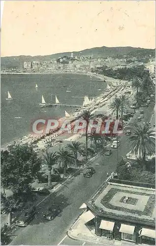 Cartes postales moderne Cannes Vue Panoramique