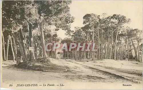 Cartes postales Juan les Pins La Pinede