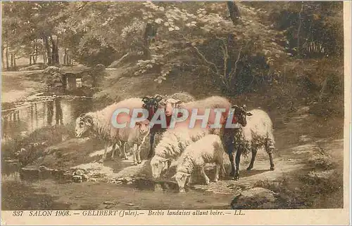 Ansichtskarte AK Salon 1908 Gelibert (Jules) Brebis Landaises allant Boire Moutons