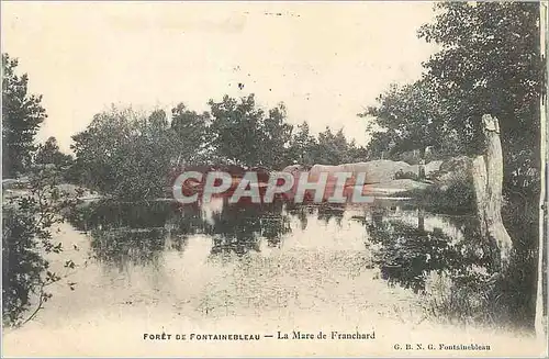 Ansichtskarte AK Foret de Fontainebleau la Mare de Franchard
