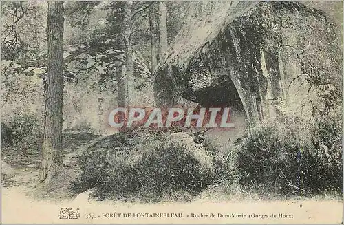 Ansichtskarte AK Foret de Fontainebleau Rocher de Dom Morin (Gorges de Houx)