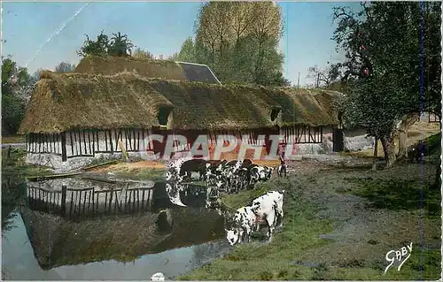Cartes postales moderne La Normandie Cour de Ferme Vaches