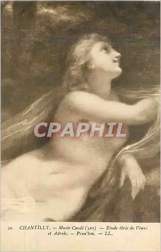 Cartes postales Chantilly Musee Conde Etude Tiree de Venus et Adonis