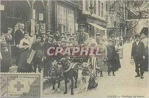 REPRO Lille Attelage des Chiens