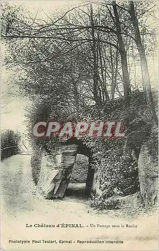 Cartes postales Le Chateau d'Epinal Un Passage sous la Roche