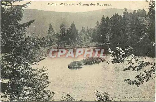 Ansichtskarte AK Ballon d'Alsace Etang des Roseaux