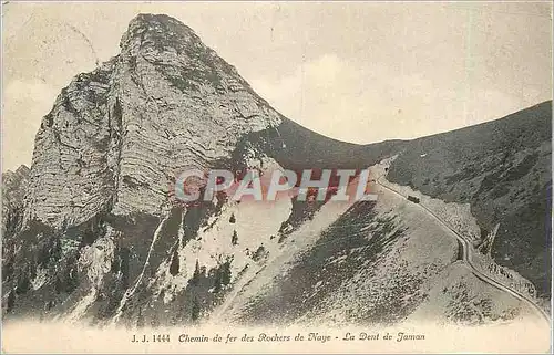 Cartes postales Chemin de Fer des Rochers de Naye Le Dent de Jomon