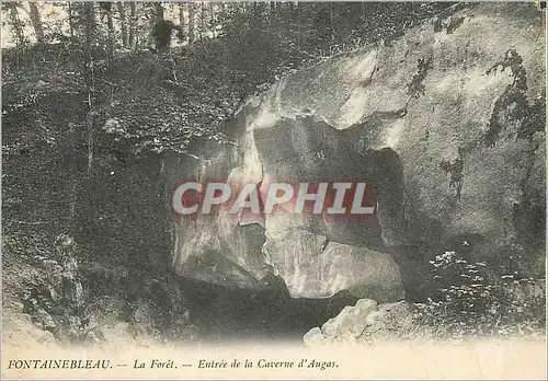 Ansichtskarte AK Fontainebleau La Foret Entree de la Caverne d'Augas