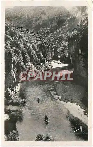 Cartes postales moderne Gorges du Tarn Environs de la Malene (Lozere) Les Detroits