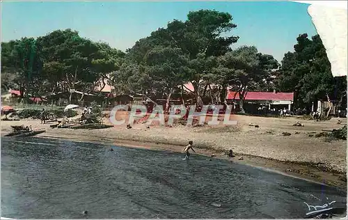 Cartes postales moderne La Capte (Var) La Plage