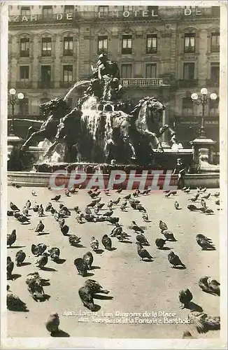 Cartes postales moderne Lyon Les Pigeons de la Place Fontaine Bartholdi