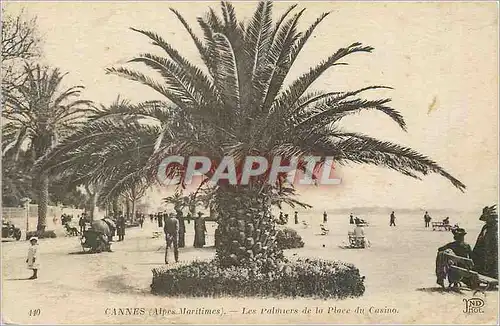 Cartes postales Cannes (Alpes Maritimes) Les Palmiers de la Place de Casino