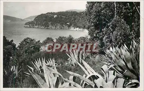 Cartes postales moderne Environs de Lavandou (Var)