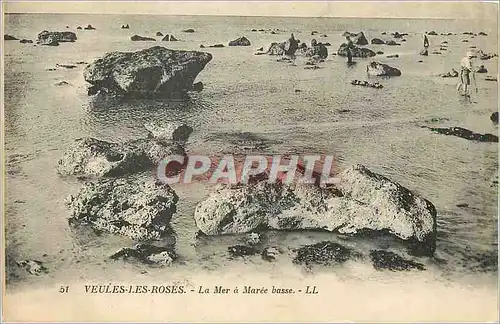 Cartes postales Veules les Roses La Mer a Maree Basse