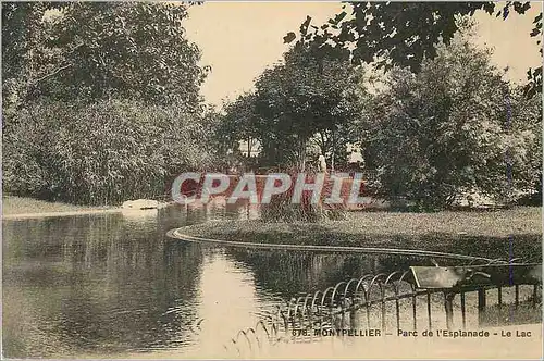 Ansichtskarte AK Montpellier Parc de l'Esplanade Le Lac