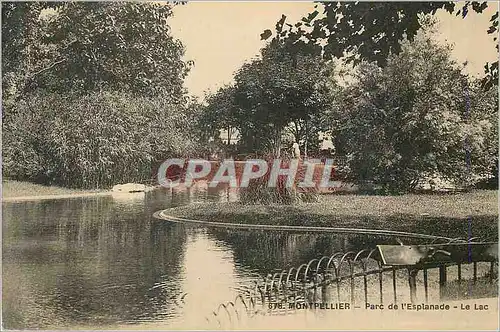 Cartes postales Montpellier Parc de l'Esplanade Le Lac
