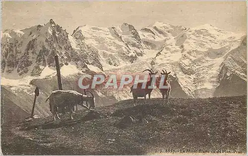 Ansichtskarte AK Le Mont Blanc Vu de Plan Praz Chevres