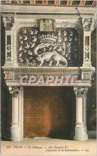 Cartes postales Blois Le Chateau Aile Francois Ier Cheminee de la Salamandre