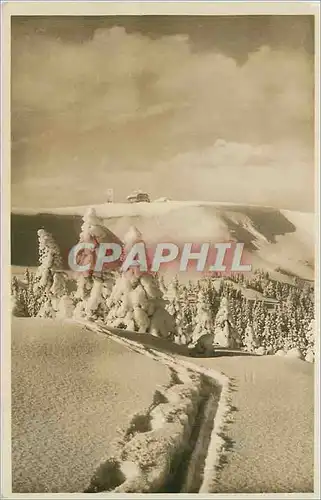 Cartes postales moderne Spur in Sonne u Pulverschuce Feldberg Zastler