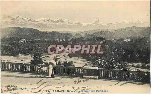 Cartes postales Pau Le Gave et la Chaine des Pyrenees