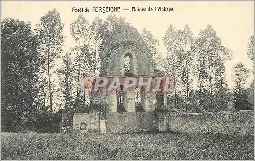 Ansichtskarte AK Foret de Perseigne Ruines de l'Abbaye