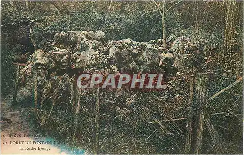 Cartes postales Foret de Fontainebleau La Roche Eponge