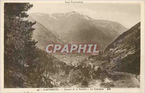 Cartes postales Cauterets Les Pyrenees Chemin de la Raillere Le Cabaliros