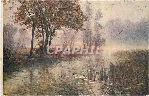 Ansichtskarte AK Lever de Soleil en Automne