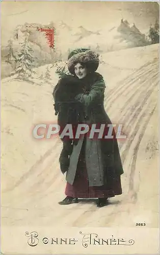 Cartes postales Bonne Annee