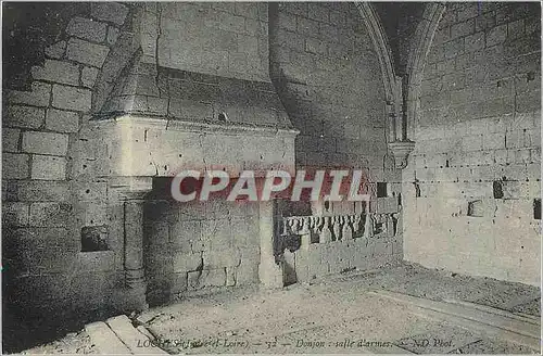 Cartes postales Loches (Indre et Loire) Donjon Salle d'Armes