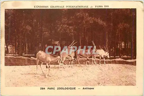 Cartes postales Paris Exposition Coloniale Internationale Parc Zoologique Antilopes